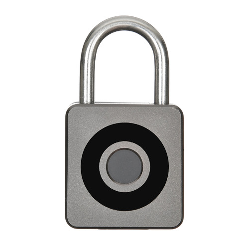 Умный замок Digma SmartLock C1, навесной, черный