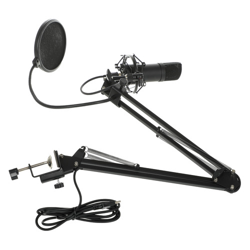 Микрофон Ritmix RDM-180, черный [80000153]