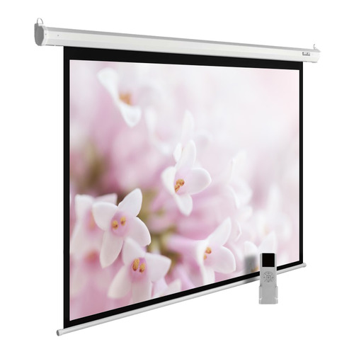 Экран Cactus MotoExpert CS-PSME-240x240-WT, 240х240 см, 1:1, настенно-потолочный белый