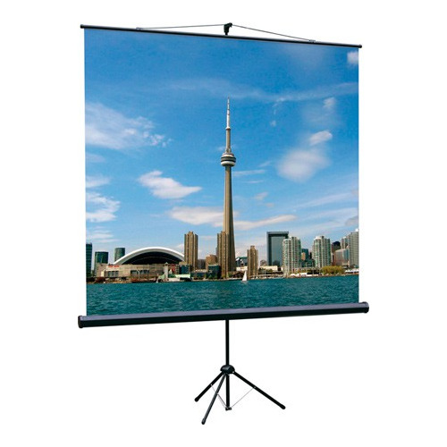 Экран Lumien Eco View LEV-100103, 200х200 см, 1:1, напольный
