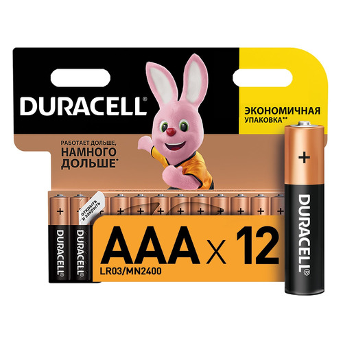 AAA Батарейка Duracell Basic LR03-12BL MN2400, 12 шт