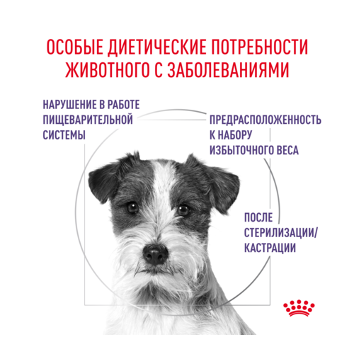 Royal Canin Neutered Adult Small Dog Сухой лечебный корм для собак мелких пород после кастрации и стерилизации, 800 гр