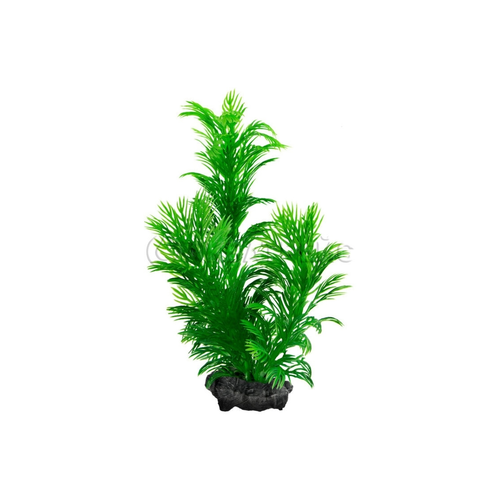 Tetra Растение аквариумное Green Cabomba (S) с утяжелителем
