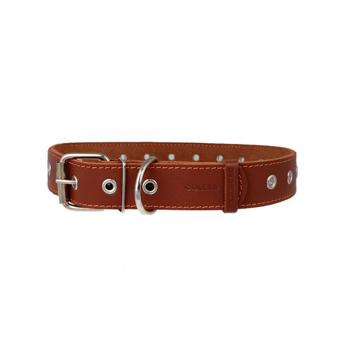 Collar Ошейник для собак безразмерный, ширина 2,5 см, длина 60 см, коричневый