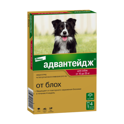 Адвантейдж® капли на холку от блох для собак от 10 до 25 кг - 4 пипетки