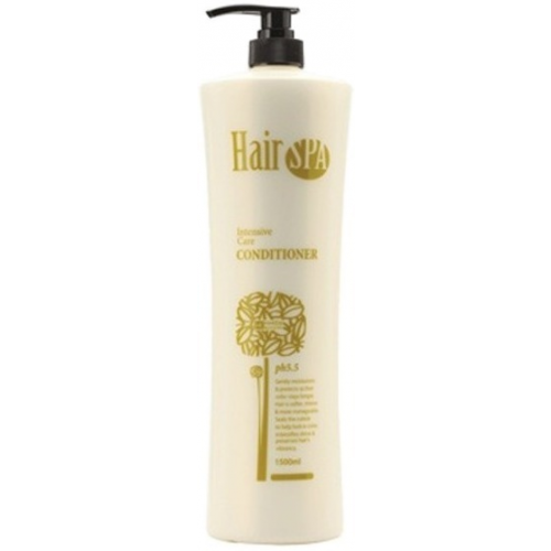 Haken Hair Spa Intensive Care conditioner