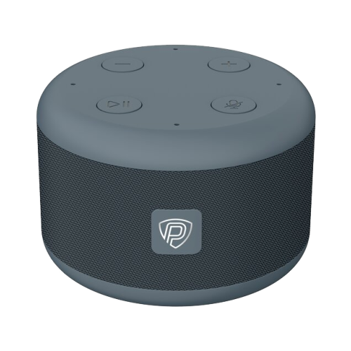 Колонка портативная Prestigio Smartvoice PSS105M (с Марусей), серая