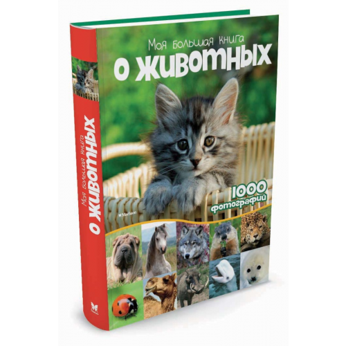 Моя Большая книга о Животных