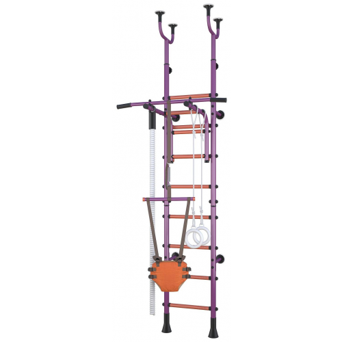Детский спортивный комплекс Polini Sport Active Фиолетовый комбинированный