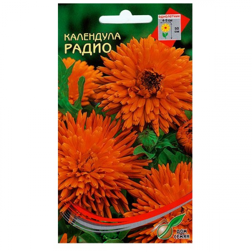 Семена Календула Радио, 25 шт, Дом семян