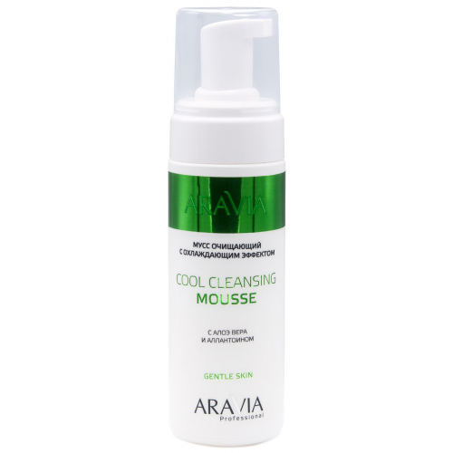 Мусс Aravia Professional Cool Cleansing Mousse 160 мл