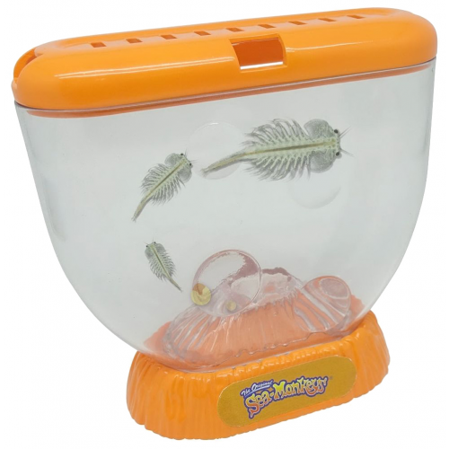 1 TOY Аквариум Sea-Monkeys для выращивания ракообразных вида Artemia Salina Т13625