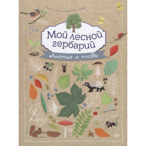 Мой лесной Гербарий 5+