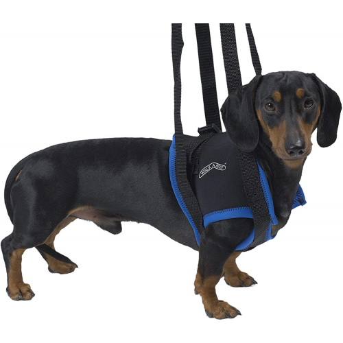 Вожжи для животных Kruuse Walkabout Harness на передние конечности для собак, синий, M-L