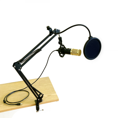 Микрофон Espada EU017-ST Gold/Black (45200)