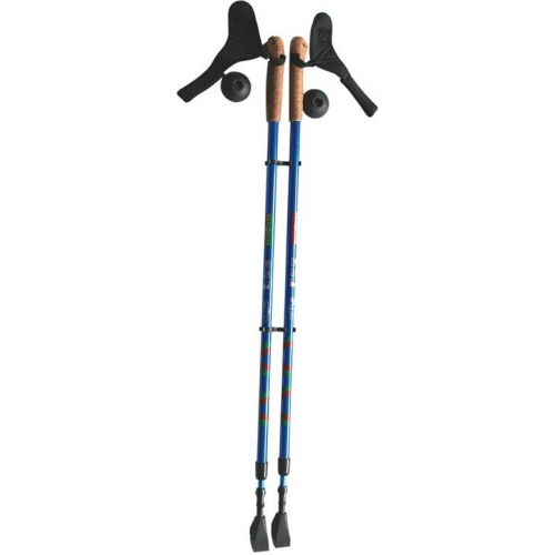 Палки для скандинавской ходьбы Ergo Nordic E-0673, синий, 110-140 см
