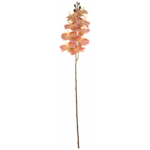 Цветок искусствнный "Орхидея" высота 96см, шампань Lefard 283-609