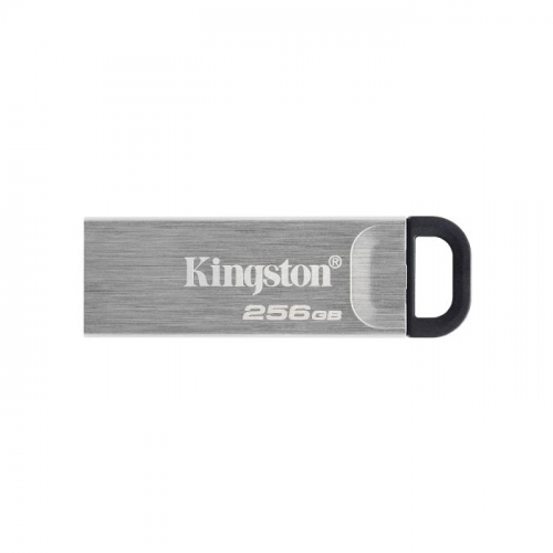 Флешка Kingston DataTraveler Kyson 256ГБ Silver (DTKN/256GB)