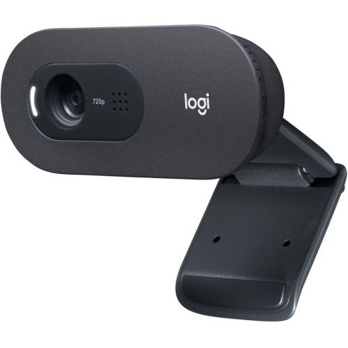 Web-камера Logitech C505e Black (960-001372)
