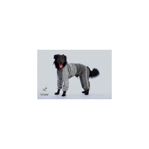 Комбинезон для собак ТУЗИК Колли 3XL женский, в ассортименте, длина спины 66 см