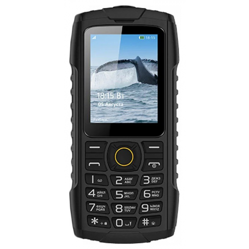 Мобильный телефон BQ 2439 Bobber Black