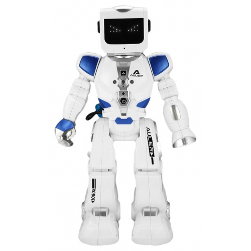 Интерактивный робот Taigen Toys Эпсилон-Ти на дистанционном управлении ZYA-A2738