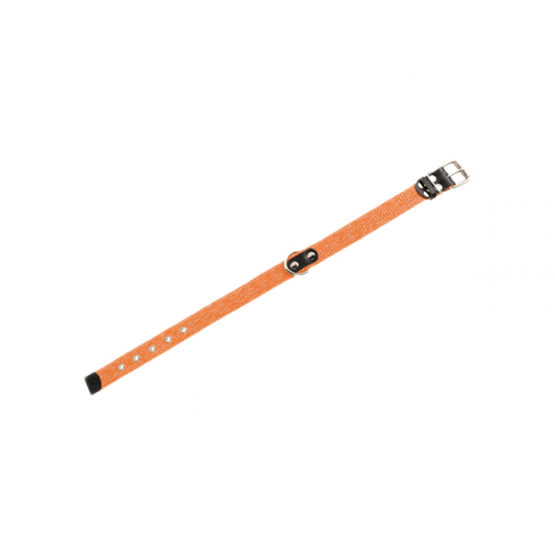 Ошейник для собак Collar, брезентовый, оранжевый, 41-53 см x 25 мм