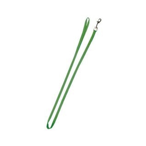 Поводок для собак GiGwi М, 15 мм х 120 см, зеленый нейлон (75138)