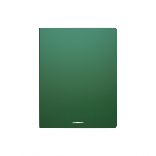 Папка файловая пластиковая ErichKrause Matt Classic, c 30 карманами, A4, зеленый (в пакете