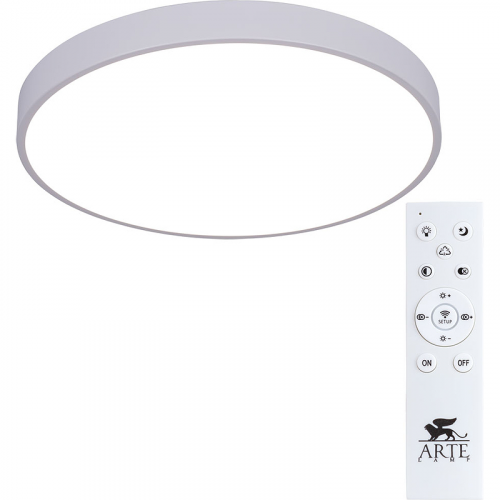 Потолочный светильник Artelamp Arena A2670PL-1WH Прозрачный Белый