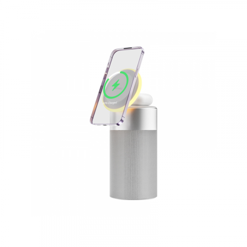 Зарядное устройство Wiwu Wi-W022 15W Silver 6976195094572