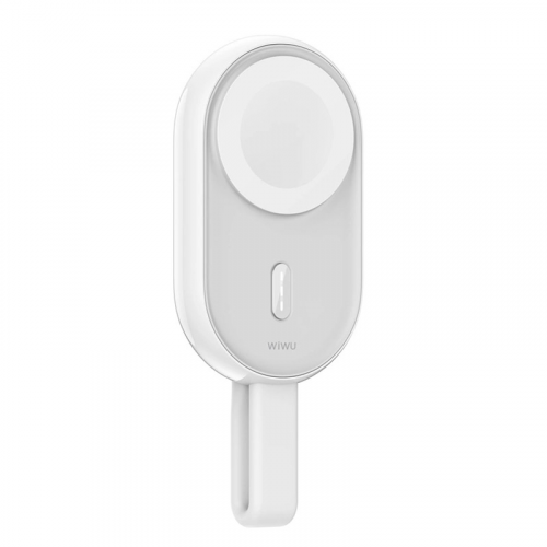 Зарядное устройство Wiwu Wi-M20 2-in-1 Watch Charger White 6976195099546