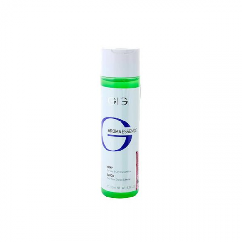 Мыло для жирной кожи Gigi/Джиджи 250мл (32572AE) GIGI Cosmetics Laboratories