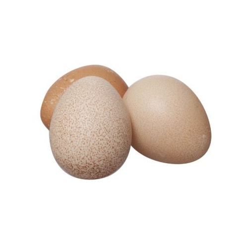 Яйца цесарки 10шт ООО "Самсон Фарма"