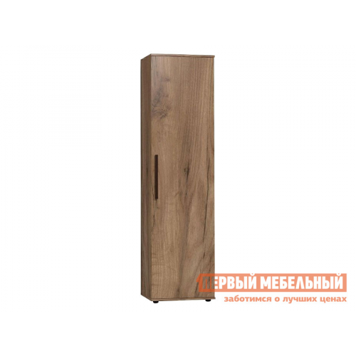Распашной шкаф Натура Дуб табачный Craft