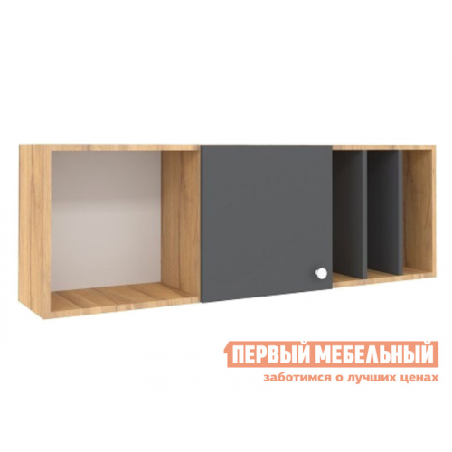 Детская полка Лойс Дуб золотистый / Графит