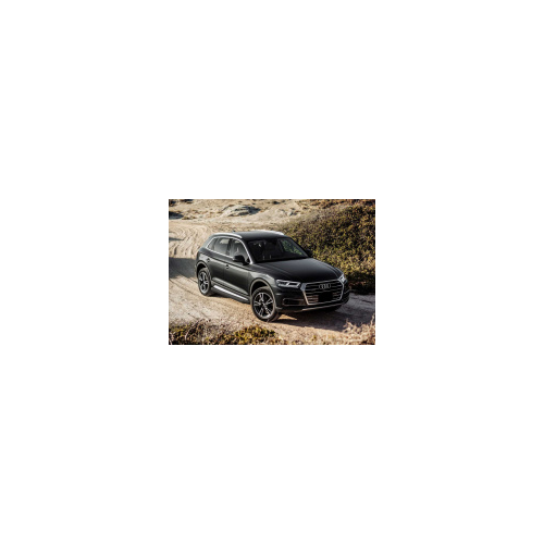 Боковые подножки, пороги "Premium-Black" (алюминий, черный) Rival A193ALB.0302.2 Audi Q5 2017 -