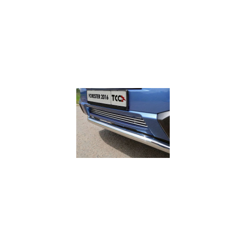 Решетка радиатора нижняя 12 мм Компания ТСС SUBFOR16-03 Subaru Forester 2016 - 2018