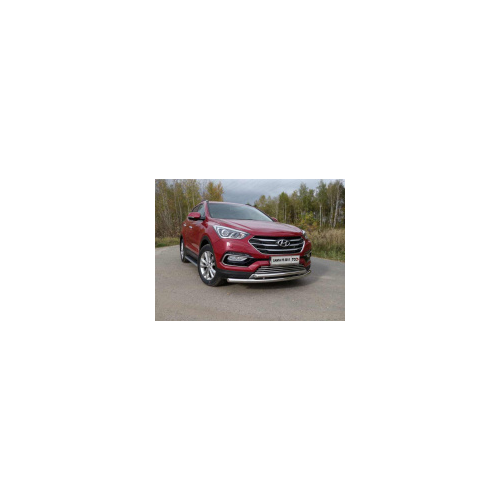 Защита передняя нижняя (двойная) TCC HYUNSF4WD15-01 Hyundai Santa Fe 2018