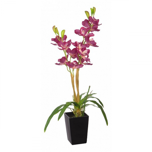 Растение в горшке Engard (80 см) Орхидея YW-34