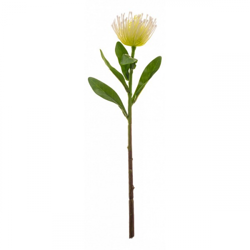 Цветок Lefard (40 см) Леукоспермум 265-600