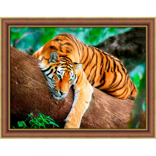 АЖ-4122 Картина стразами 'Тигр на дереве' 40*30см Алмазная живопись