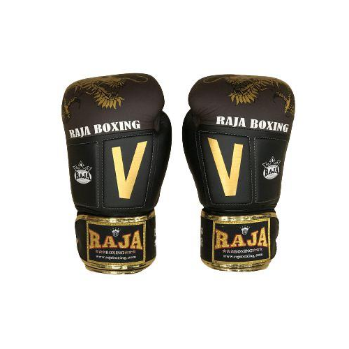 Боксерские перчатки Boxing Victory Brown/Black, 16 OZ