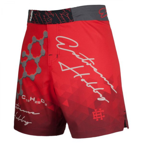 Спортивные шорты rapid (красный), красный