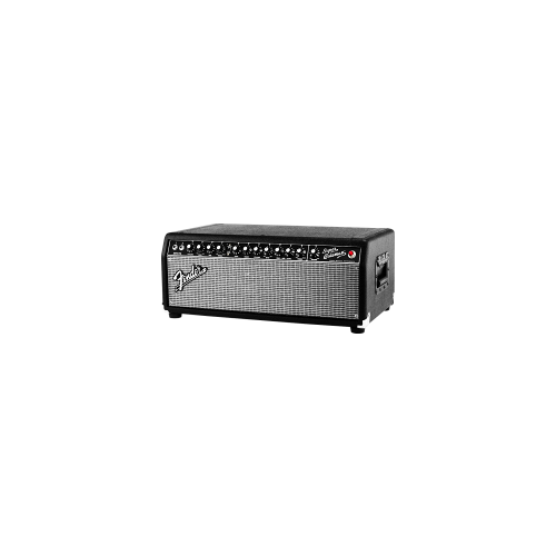 FENDER SUPER BASSMAN 300W HEAD