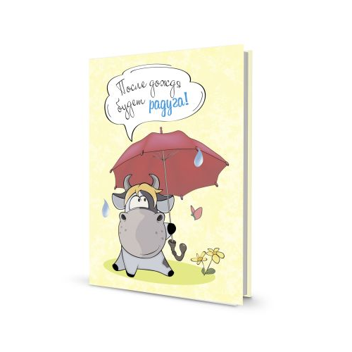Книга Контэнт Блокнотик с бычками. Радужные перспективы. После дождя будет радуга