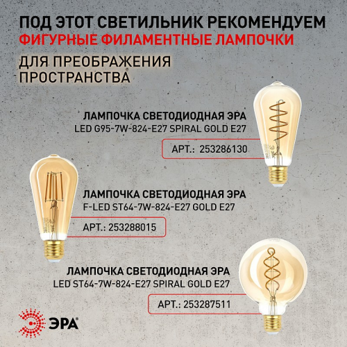 PL8 BK Светильник подвесной (подвес) ЭРА PL8 BK металл, E27, max 60W, высота плафона 220мм, подвеса 760мм, черный, цена за 1 шт