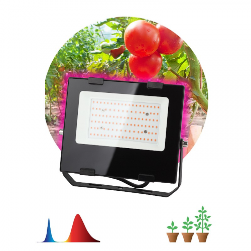FITO-50W-RB-LED Фитопрожектор для растений светодиодный ЭРА FITO-50W-RB-LED для цветения и плодоношения красно-синего спектра 50 Вт, цена за 1 шт