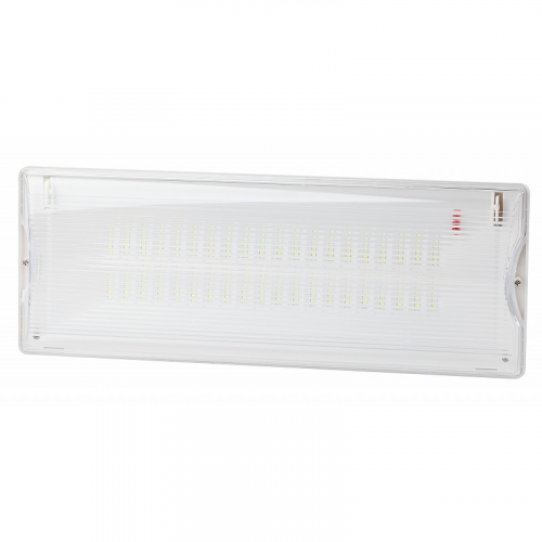 DPA-301-0-65 Аварийный светильник светодиодный ЭРА DPA-301-0-65 непостоянный 40LED 3ч IP65, цена за 1 шт