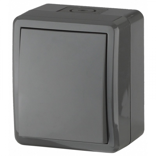 11-1401-03 11-1401-03 ЭРА Выключатель IP54, 10АХ-250В, ОУ, Эра Эксперт, серый, цена за 1 шт